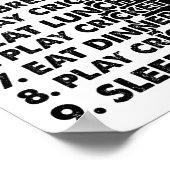 Cricket Day Plan Cricket Player  Poster (Hoek)