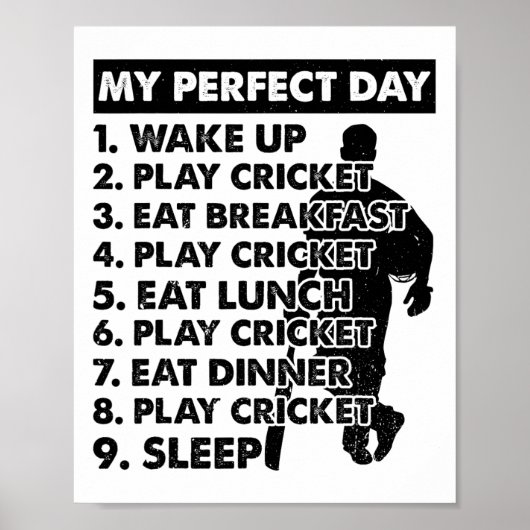 Cricket Day Plan Cricket Player  Poster (Voorkant)