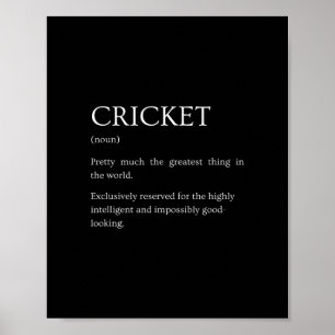 Cricket Definitie - Grappige Sarcastische Cricket  Poster