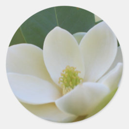 Cricket Diane Southern Magnolias Ronde Sticker