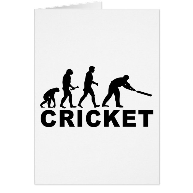 Cricket Evolution (Voorkant)