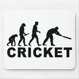 Cricket Evolution Muismat