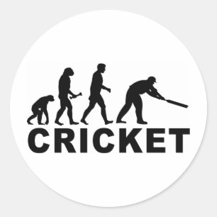 Cricket Evolution Ronde Sticker