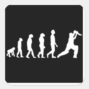 Cricket Evolution Vierkante Sticker