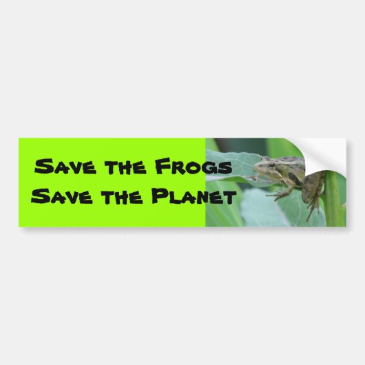 Cricket Frog Bumpersticker (Voorkant)