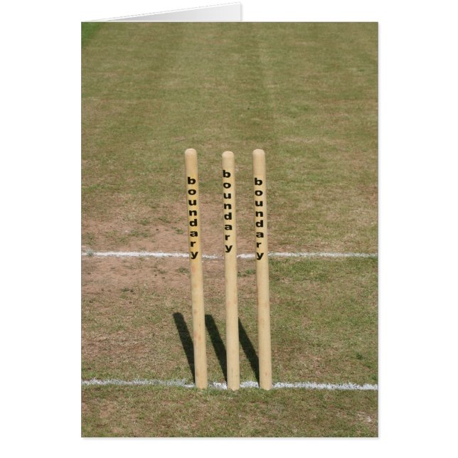 Cricket ground at Bickleigh, Devon, Verenigd Konin (Voorkant)