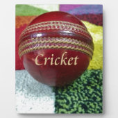 Cricket het spel dat we graag spelen, eten, slapen fotoplaat (Voorkant)