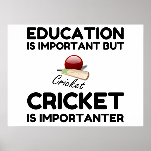 CRICKET IS BELANGRIJK POSTER (Voorkant)