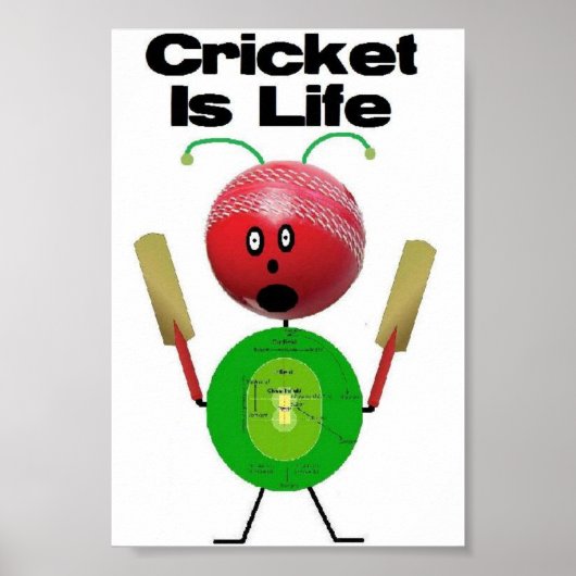Cricket is levensecht poster (Voorkant)