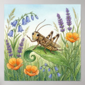 Cricket Kleine Insecten Kinderkamer Poster (Voorkant)