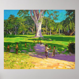 Cricket match Botanische tuinen Dominica Poster