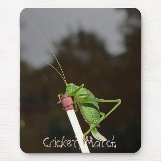 Cricket Match Mouse Mat Muismat (Voorkant)