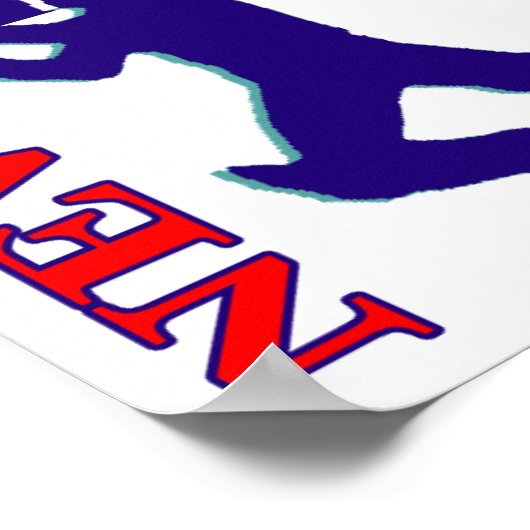 Cricket New Zealand Poster (Hoek)