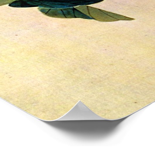 Cricket on a Vine Japans Woodblock Art Ukiyo-E Poster (Hoek)