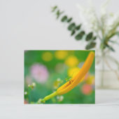 Cricket on Daylily Briefkaart (Staand voorkant)