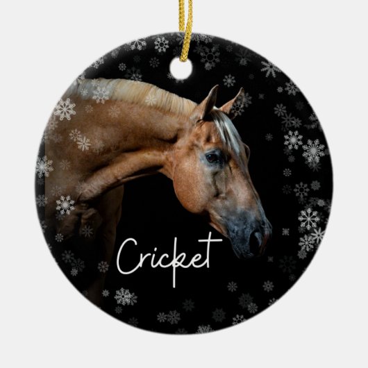 Cricket Ornament (Voorkant)