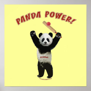 Cricket Panda Power Poster