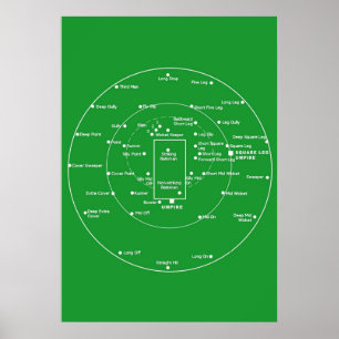 CRICKET PITCH POSITIES Fielding Positions Diagra Poster
