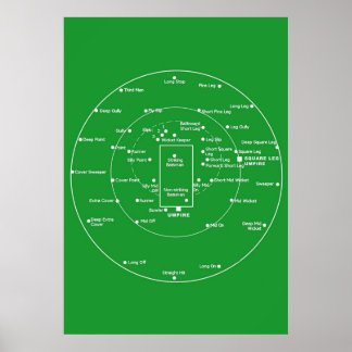 CRICKET PITCH POSITIES Fielding Positions Diagra Poster