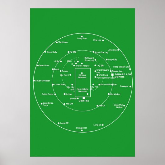CRICKET PITCH POSITIES Fielding Positions Diagra Poster (Voorkant)