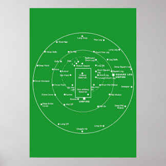 CRICKET PITCH POSITIES Fielding Positions Diagram Poster
