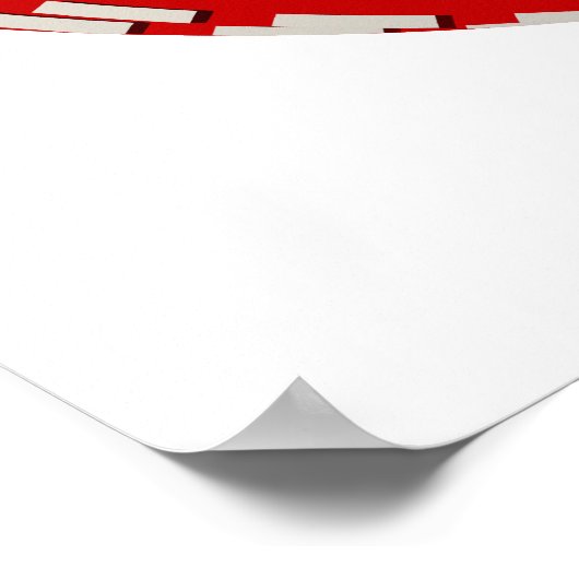 Cricket Player Poster (Hoek)