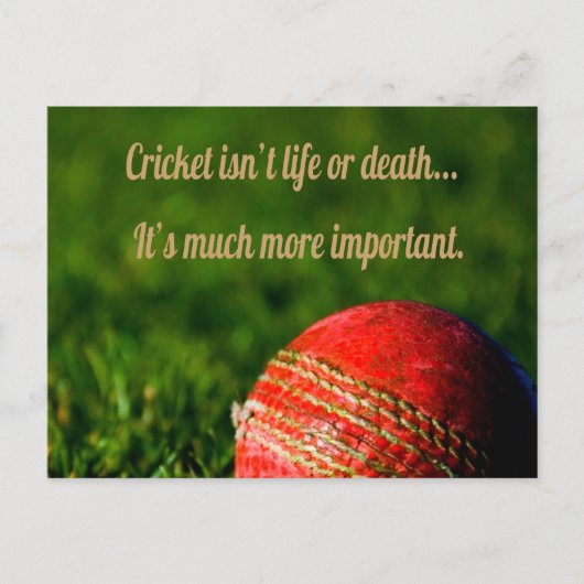 Cricket Red Ball Funny Motivatie Briefkaart (Voorkant)