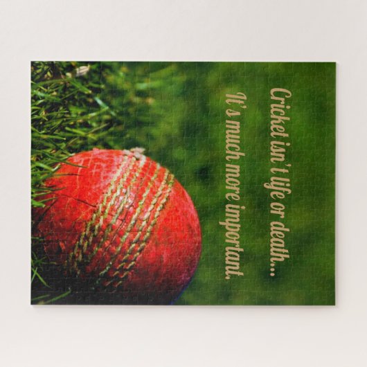 Cricket Red Ball Funny Motivatie Legpuzzel (Horizontaal)