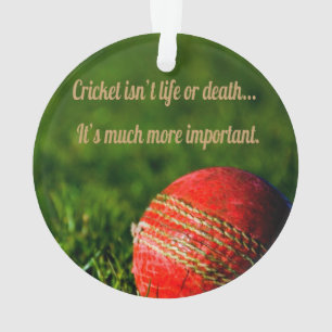 Cricket Red Ball Funny Motivatie Ornament