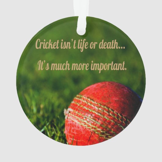 Cricket Red Ball Funny Motivatie Ornament (achterkant)