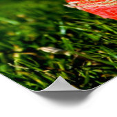 Cricket Red Ball Funny Motivatie Poster (Hoek)