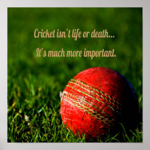 Cricket Red Ball Funny Motivatie Poster