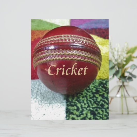 Cricket: Red Hard Ball Art Print (Staand voorkant)