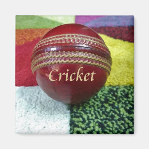Cricket: Red Hard Ball Art Print Magneet