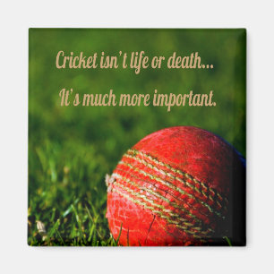 Cricket Rode Bal Funny Motivational Magneet
