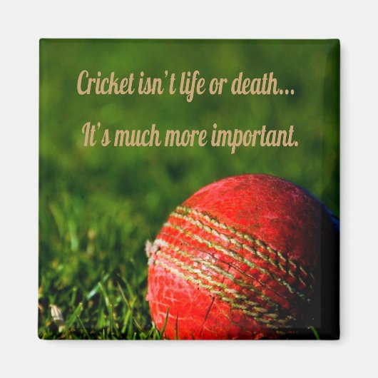 Cricket Rode Bal Funny Motivational Magneet (Voorkant)