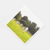 CRICKET SERVETTEN (Hoek)