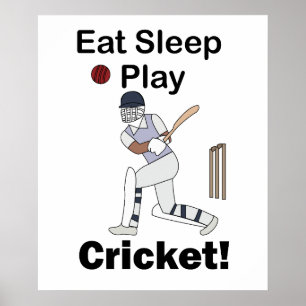 Cricket Sporten Eten Slapen Spelen Cricket Poster
