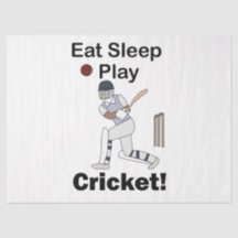 Cricket Sporten Eten Slapen Spelen Cricket