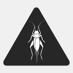Cricket Sticker