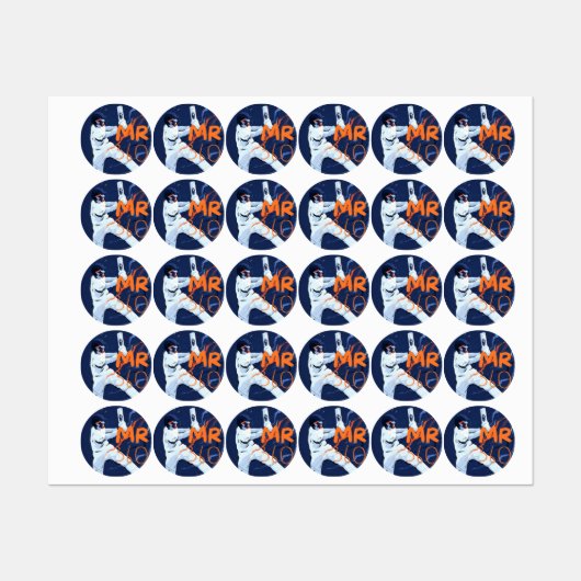 Cricket Stickers 2024 (Vel)