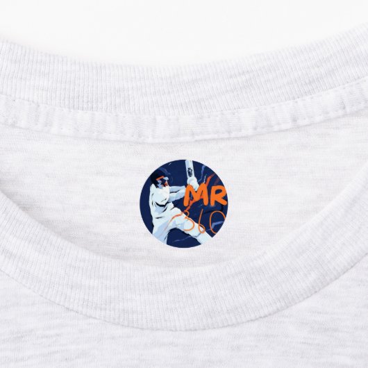 Cricket Stickers 2024 (Aangebracht)