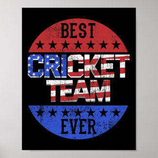 Cricket Team Player Independence Day Patriotic Usa Poster