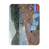 Cricket Teignmouth Magneet (Verticaal)