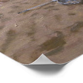 Cricket Teignmouth Poster (Hoek)