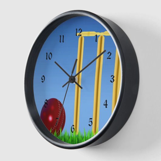 Cricket, wicket en ball (Hoek)