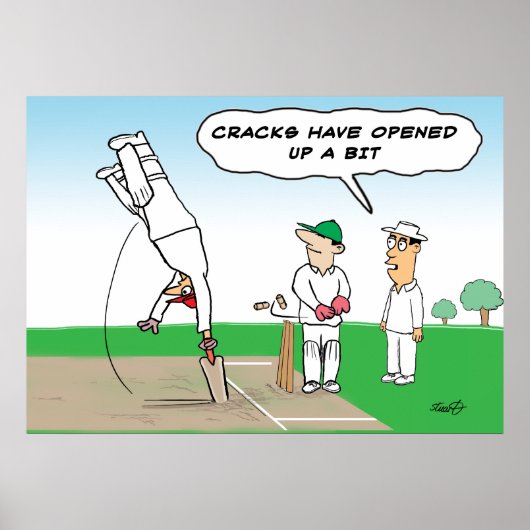 Cricket Wicket - Funny Cricket Poster (Voorkant)