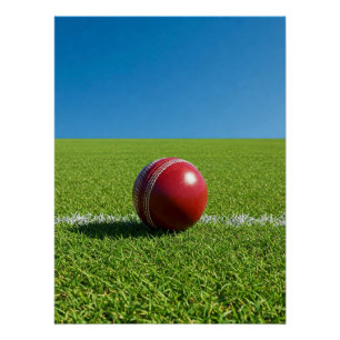 Cricketbal op grensmarkering perfect poster