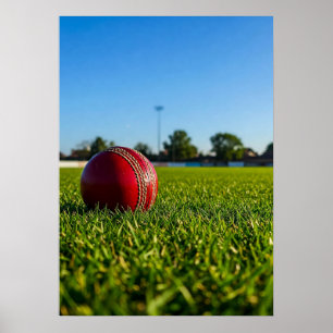 Cricketbal op grensmarkering poster