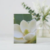 CricketDiane Southern Magnolias Briefkaart (Staand voorkant)